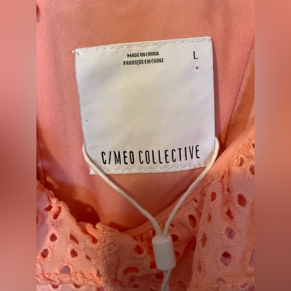 Free People x C/MEO Collective Sherbet Pink Embroidered Eyelet Dress NWT Large - Picture 7 of 10